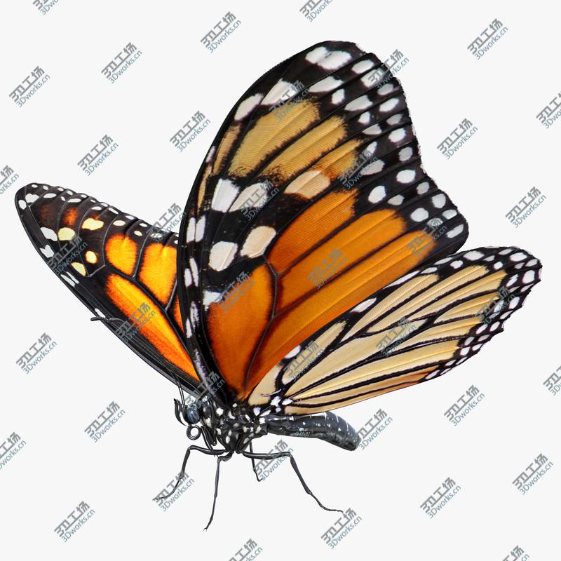 images/goods_img/20210114/3D model Danaus Plexippus Butterfly/1.jpg